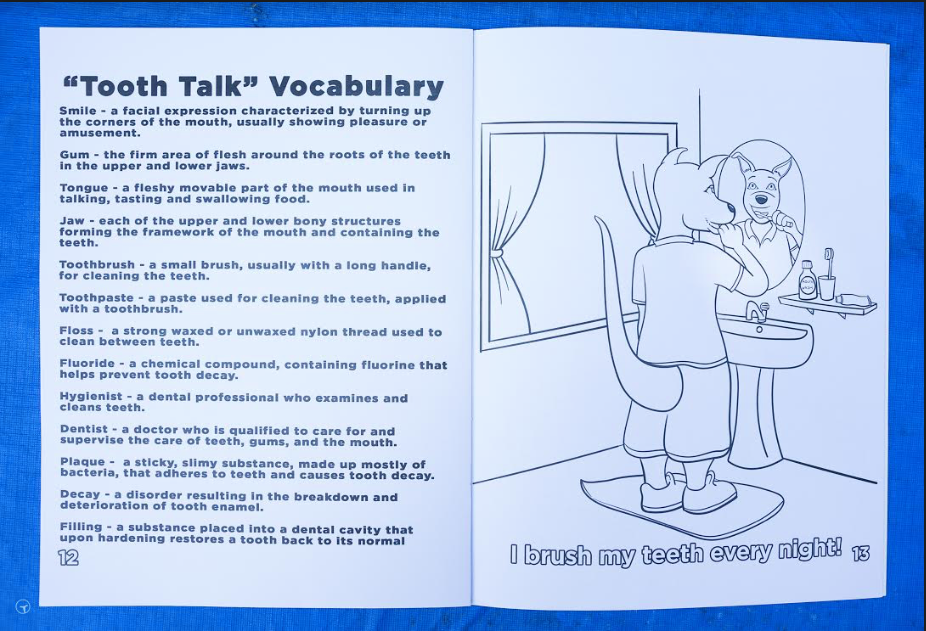 Promiseland Park's Pre-K and Kindergarten Audio Smart-Book - 2nd Edition