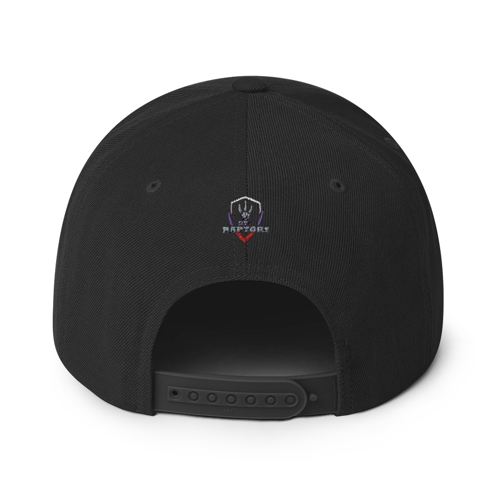 HYB RAPTORS - Snapback Hat