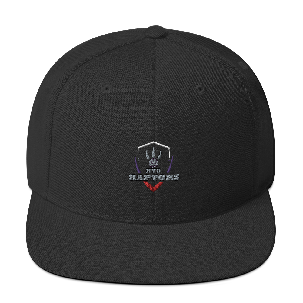 HYB RAPTORS - Snapback Hat