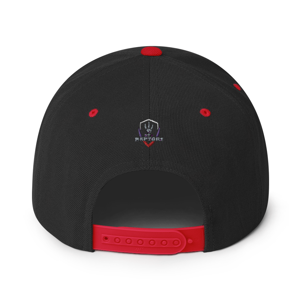 HYB RAPTORS - Snapback Hat