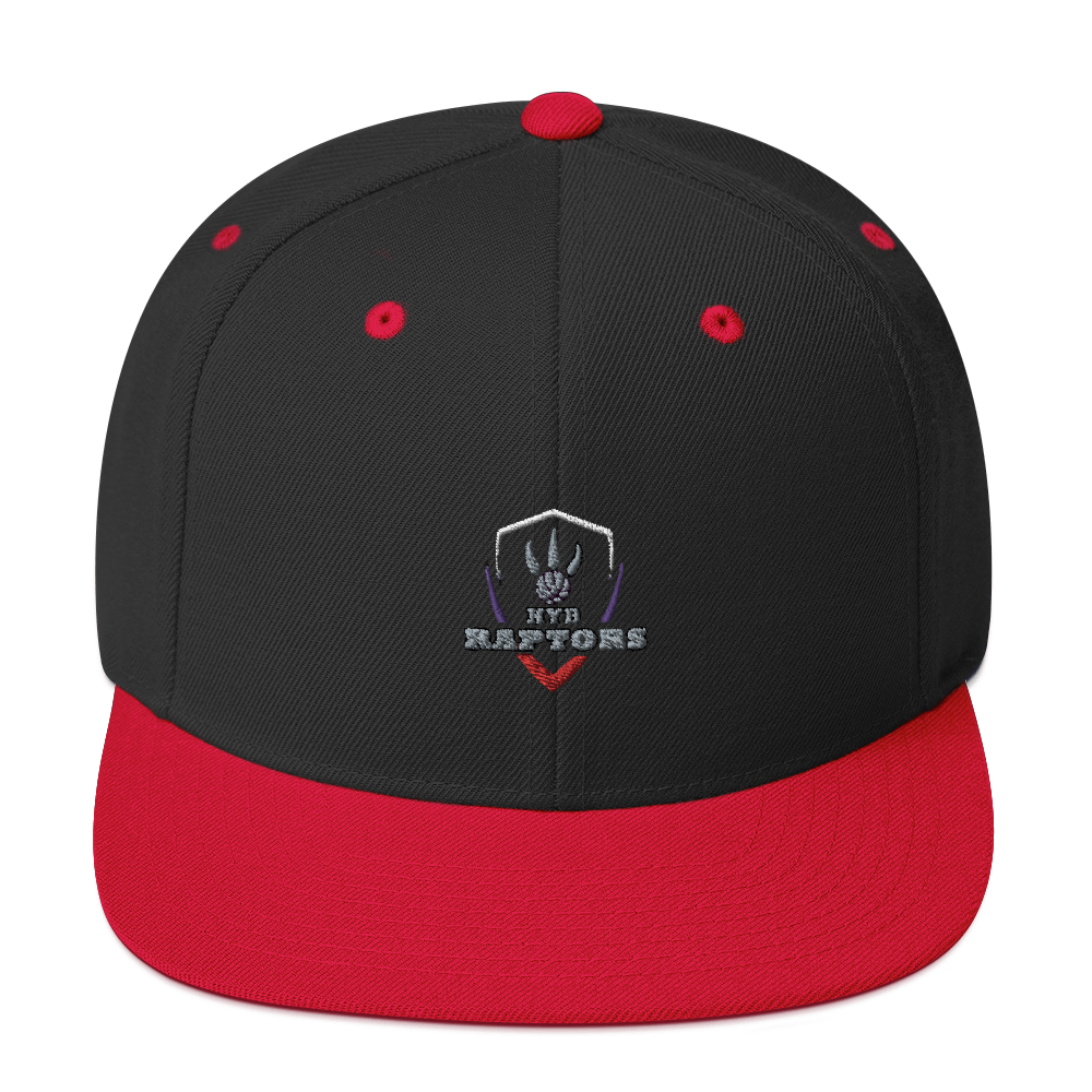 HYB RAPTORS - Snapback Hat