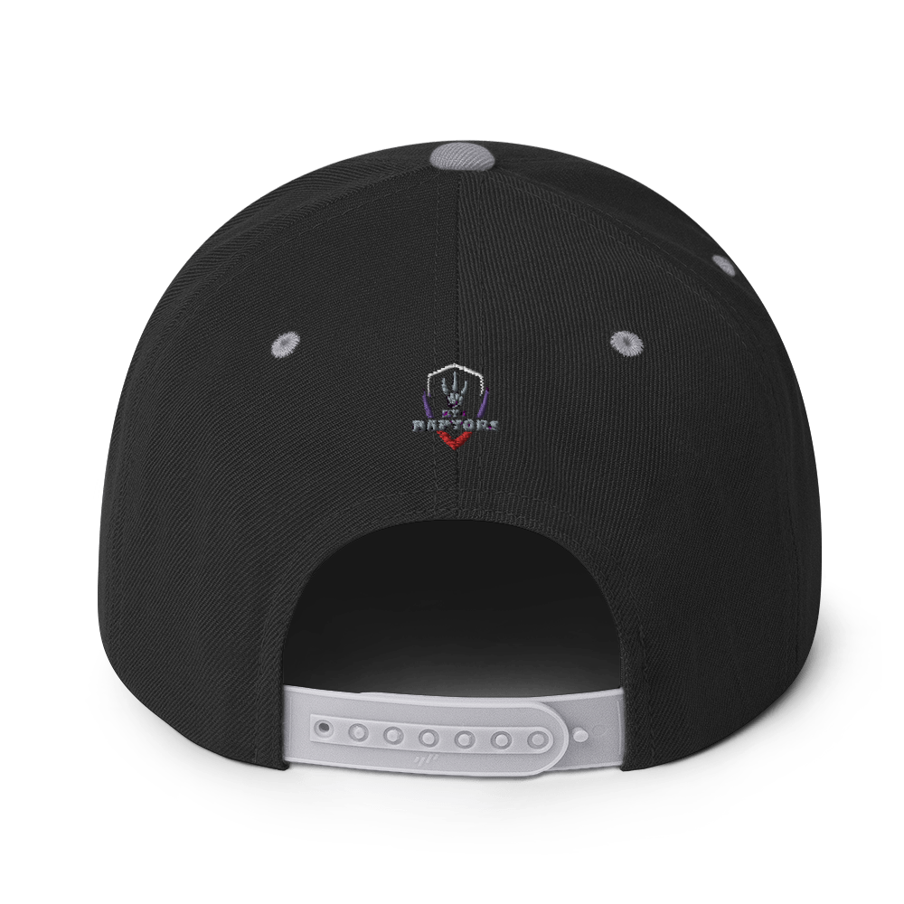 HYB RAPTORS - Snapback Hat