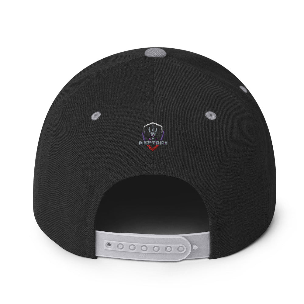 Raptors Shield - Snapback Hat