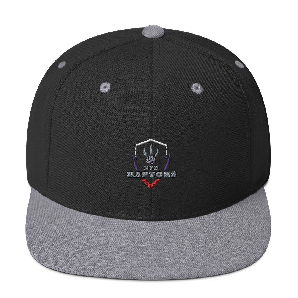 HYB RAPTORS - Snapback Hat