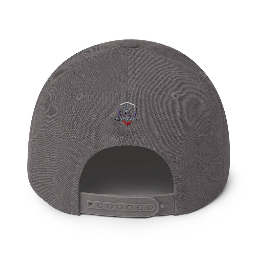 Raptors Shield - Snapback Hat