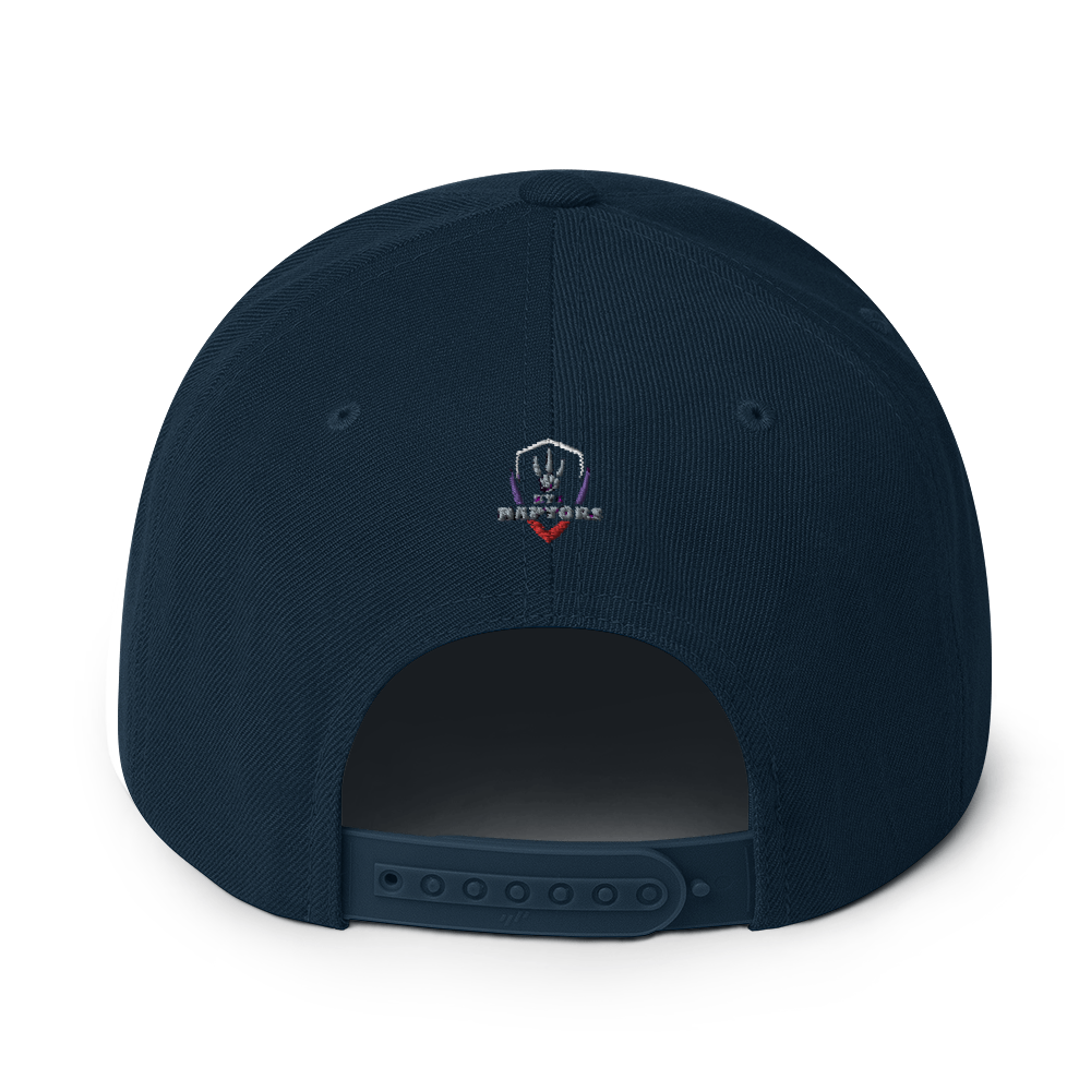 HYB RAPTORS - Snapback Hat