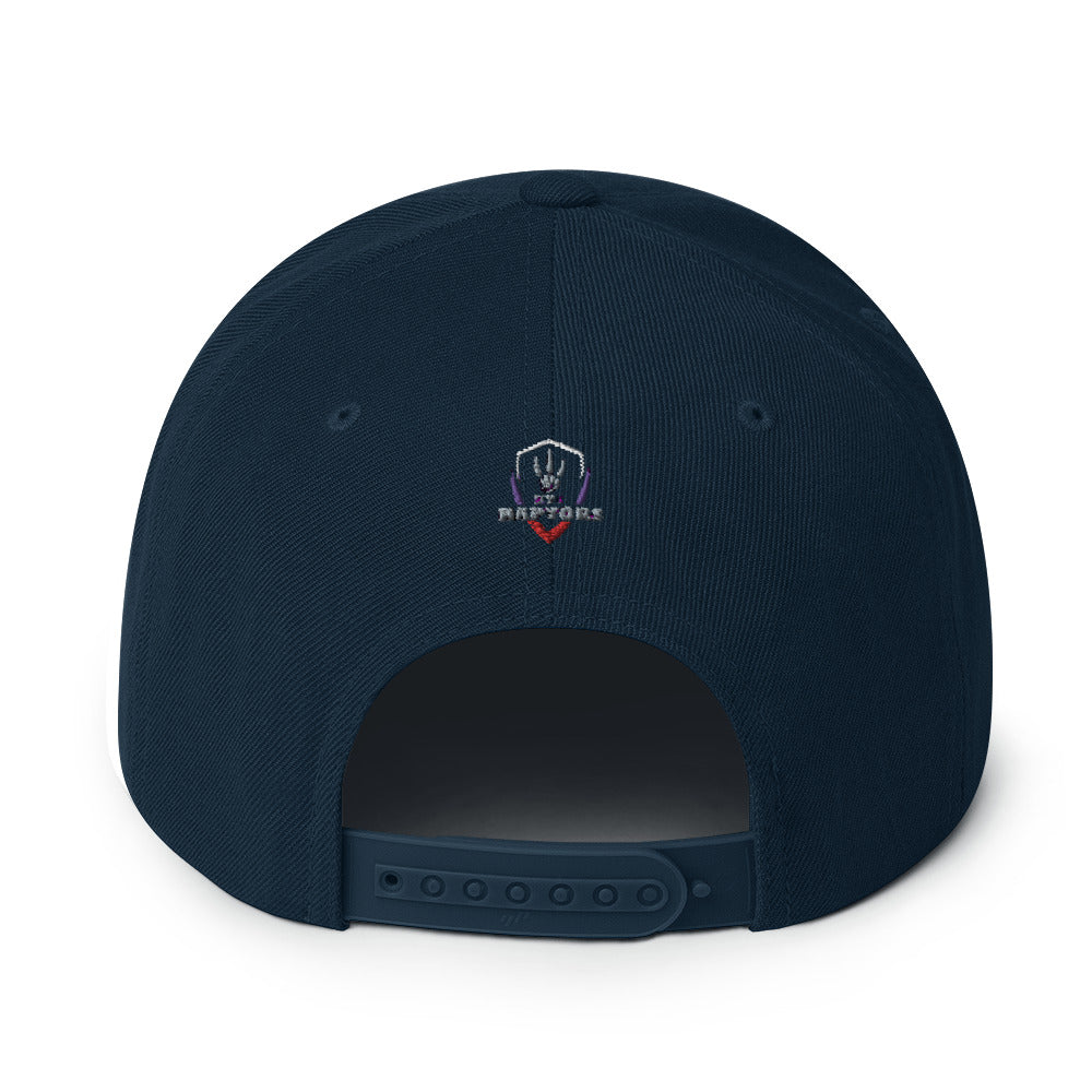 Raptors Shield - Snapback Hat