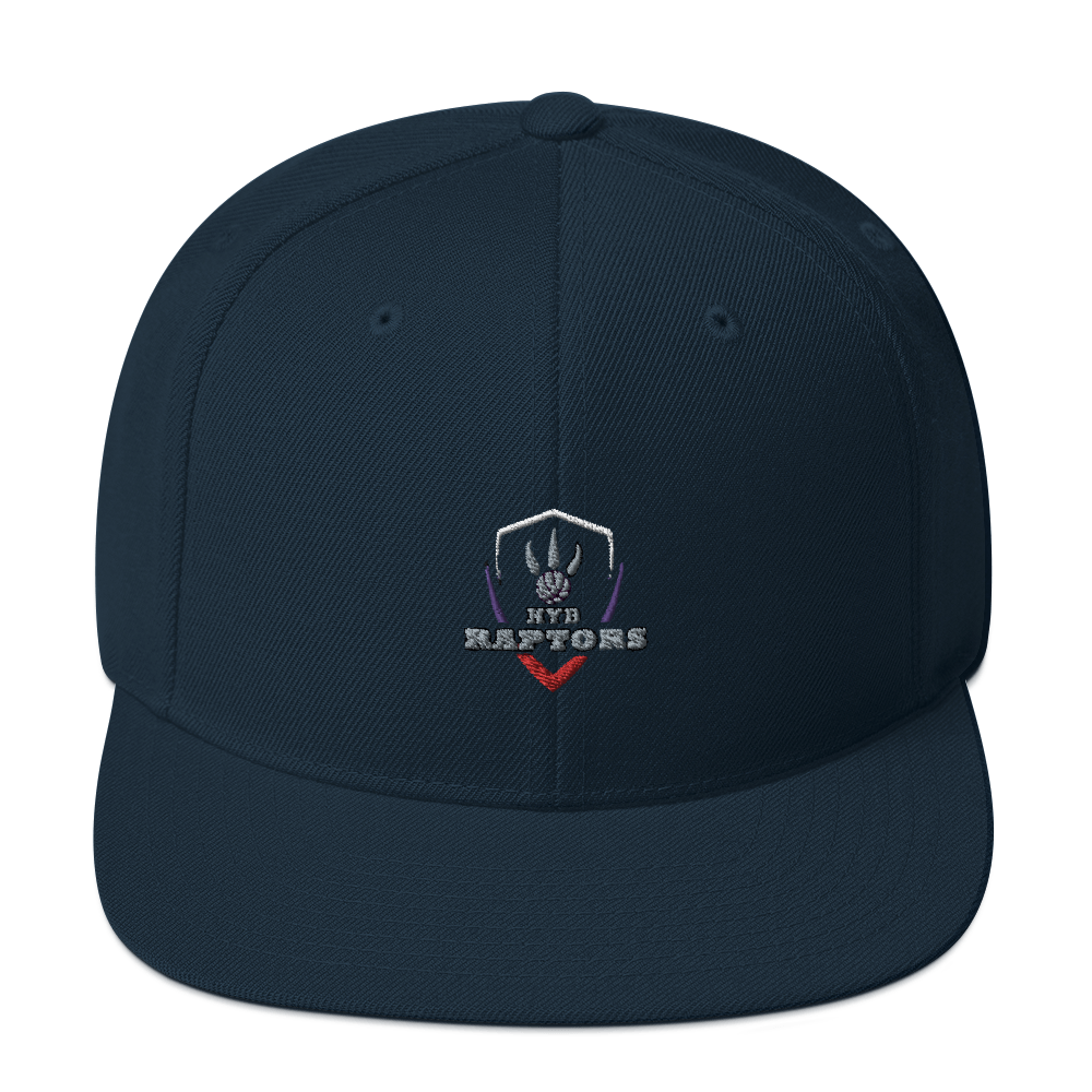 HYB RAPTORS - Snapback Hat