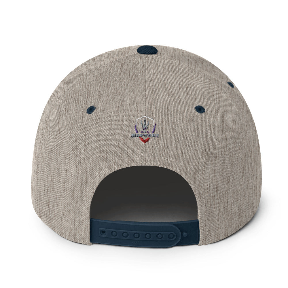 Raptors Shield - Snapback Hat