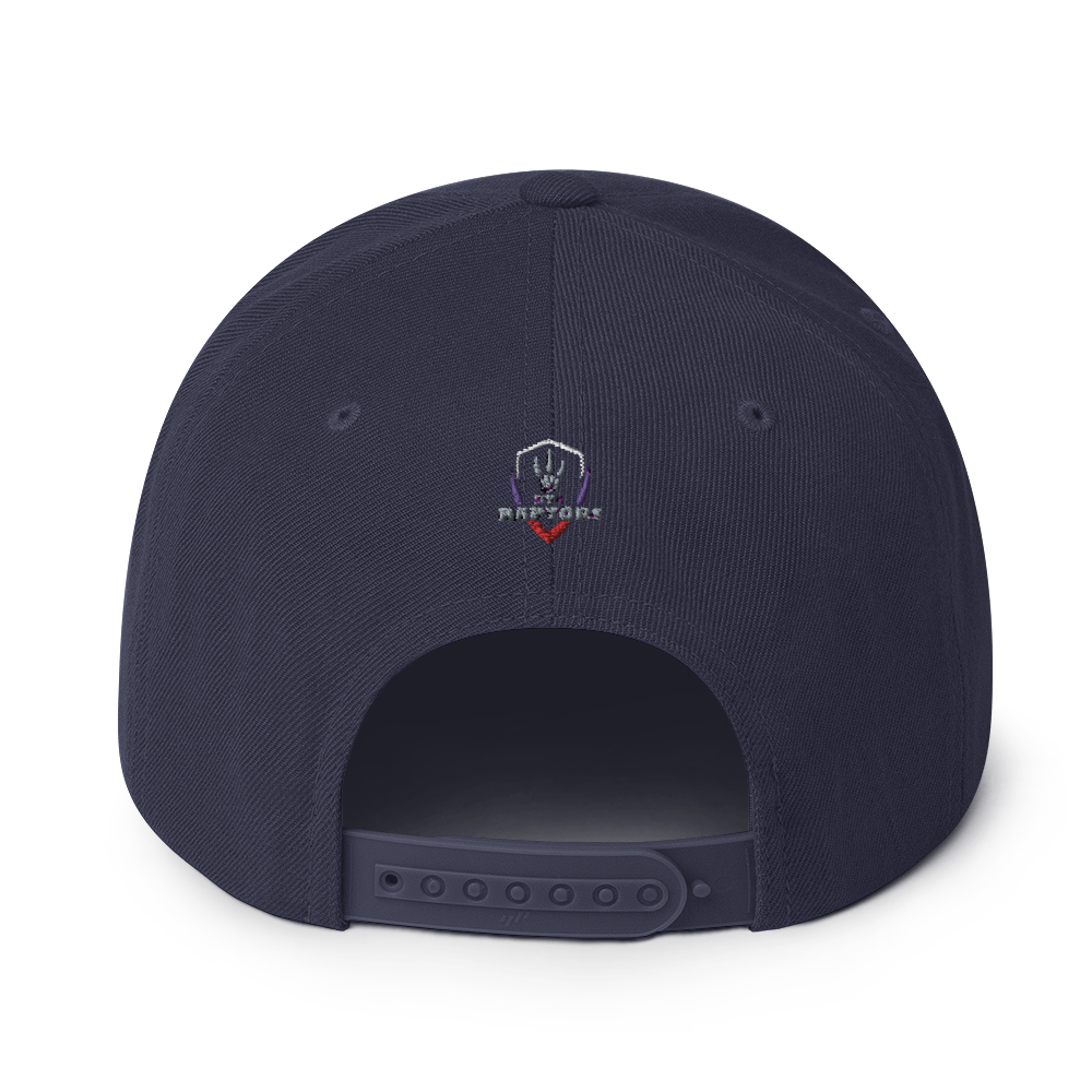 HYB RAPTORS - Snapback Hat