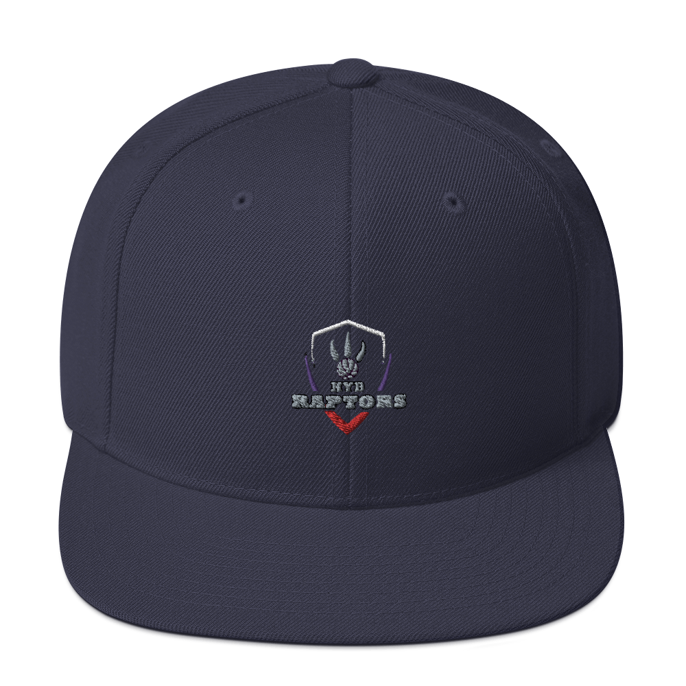 HYB RAPTORS - Snapback Hat