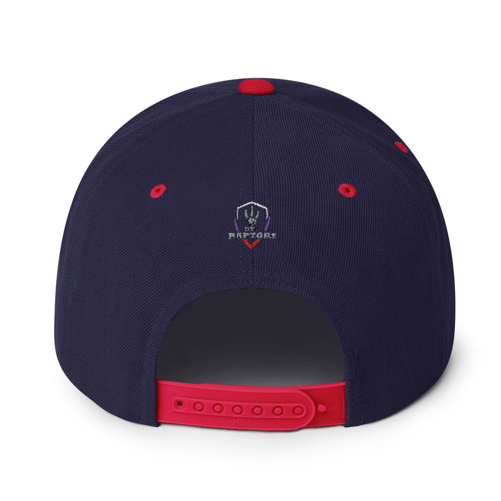 HYB RAPTORS - Snapback Hat