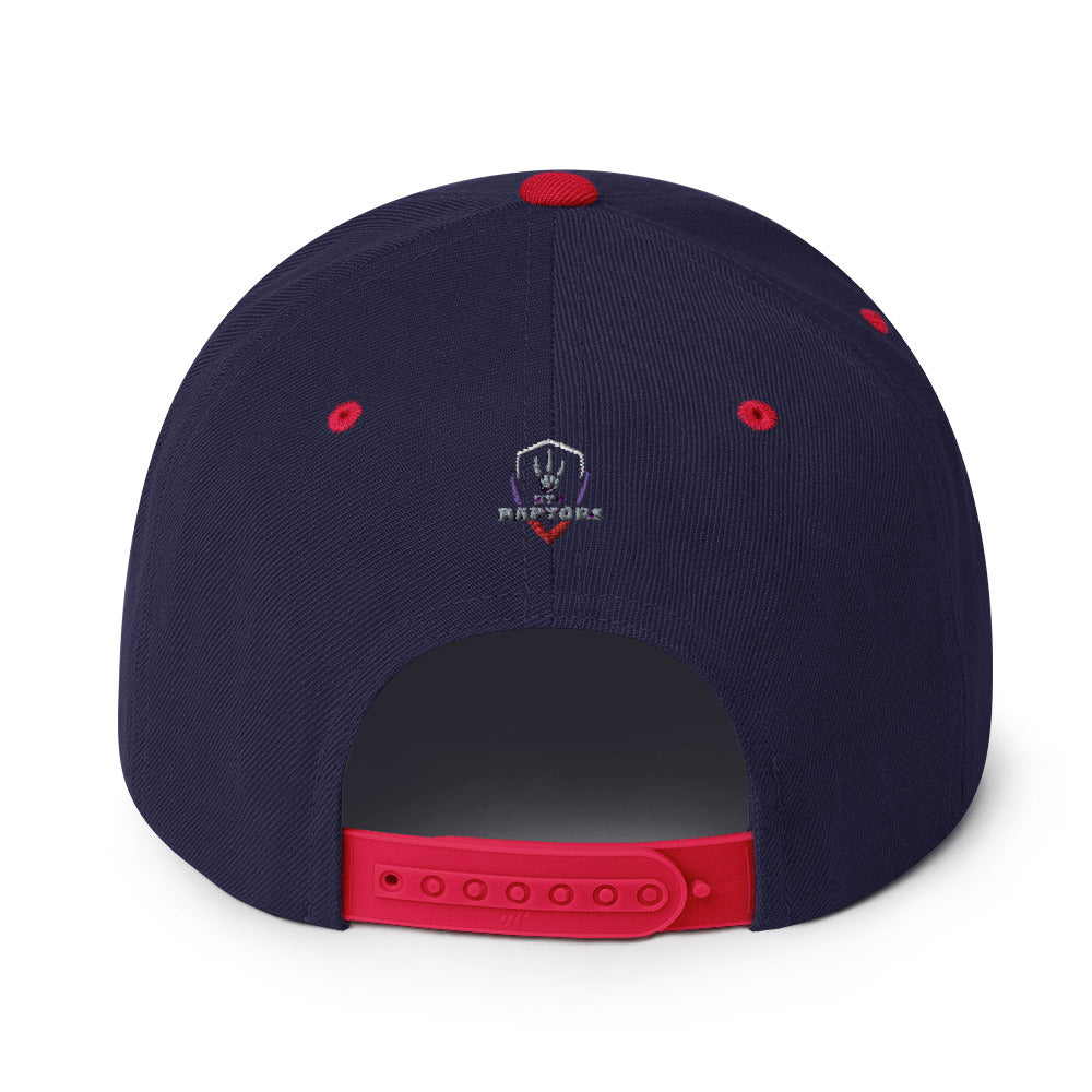 Raptors Shield - Snapback Hat
