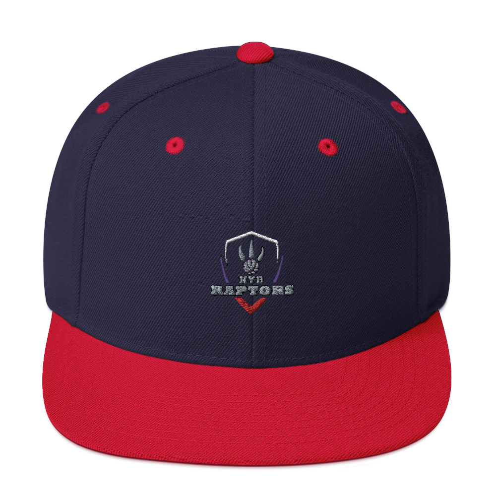 HYB RAPTORS - Snapback Hat