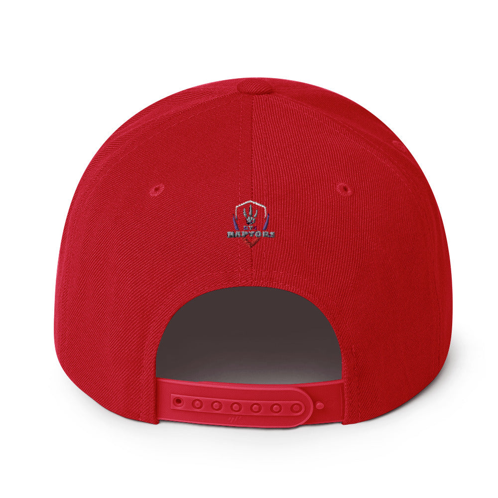 Raptors Shield - Snapback Hat